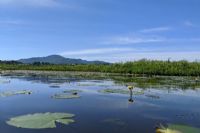 Magog et LAMRAC veulent protéger 132 hectares du Marais de la Rivière - aux - Cerises à perpétuité